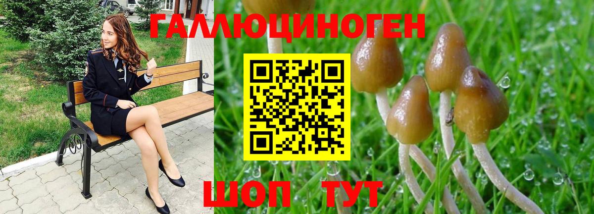 Псилоцибиновые грибы прущие грибы Унеча